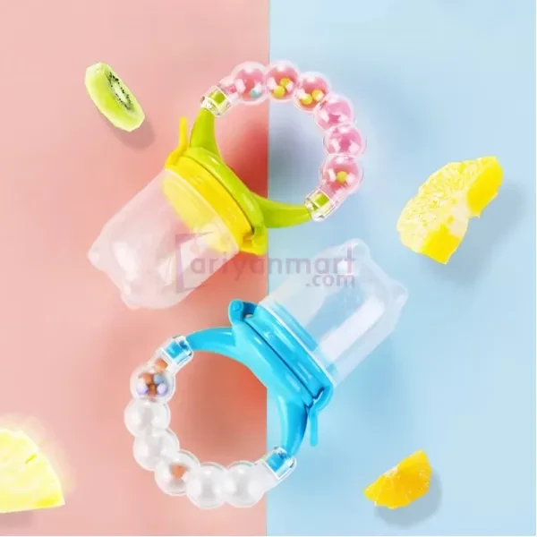 Baby Pacifier Fruit Feeder