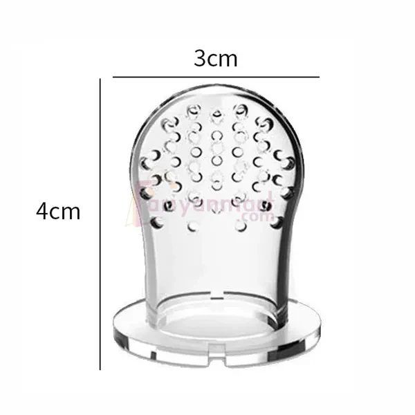 Baby Pacifier Fruit Feeder