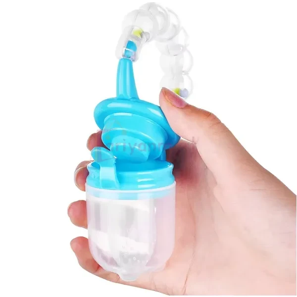 Baby Pacifier Fruit Feeder